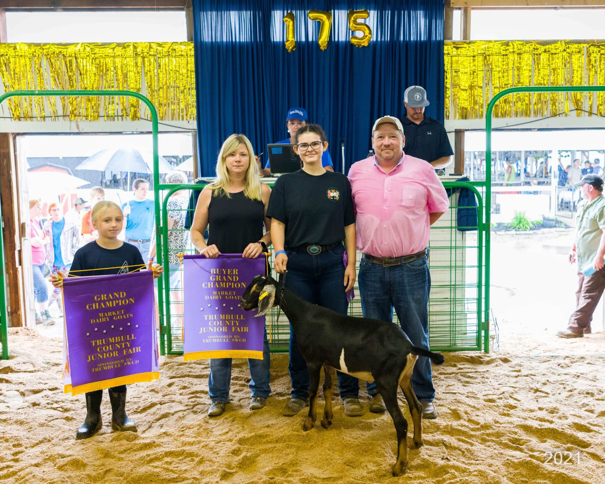 Gallery Trumbull County Fair