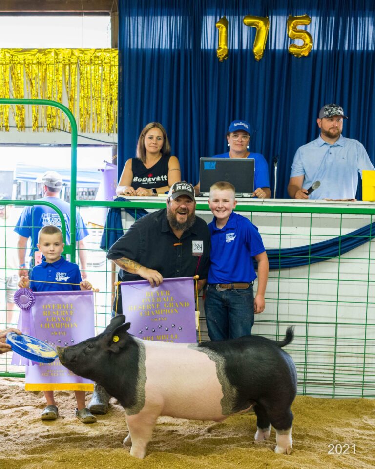 Gallery Trumbull County Fair