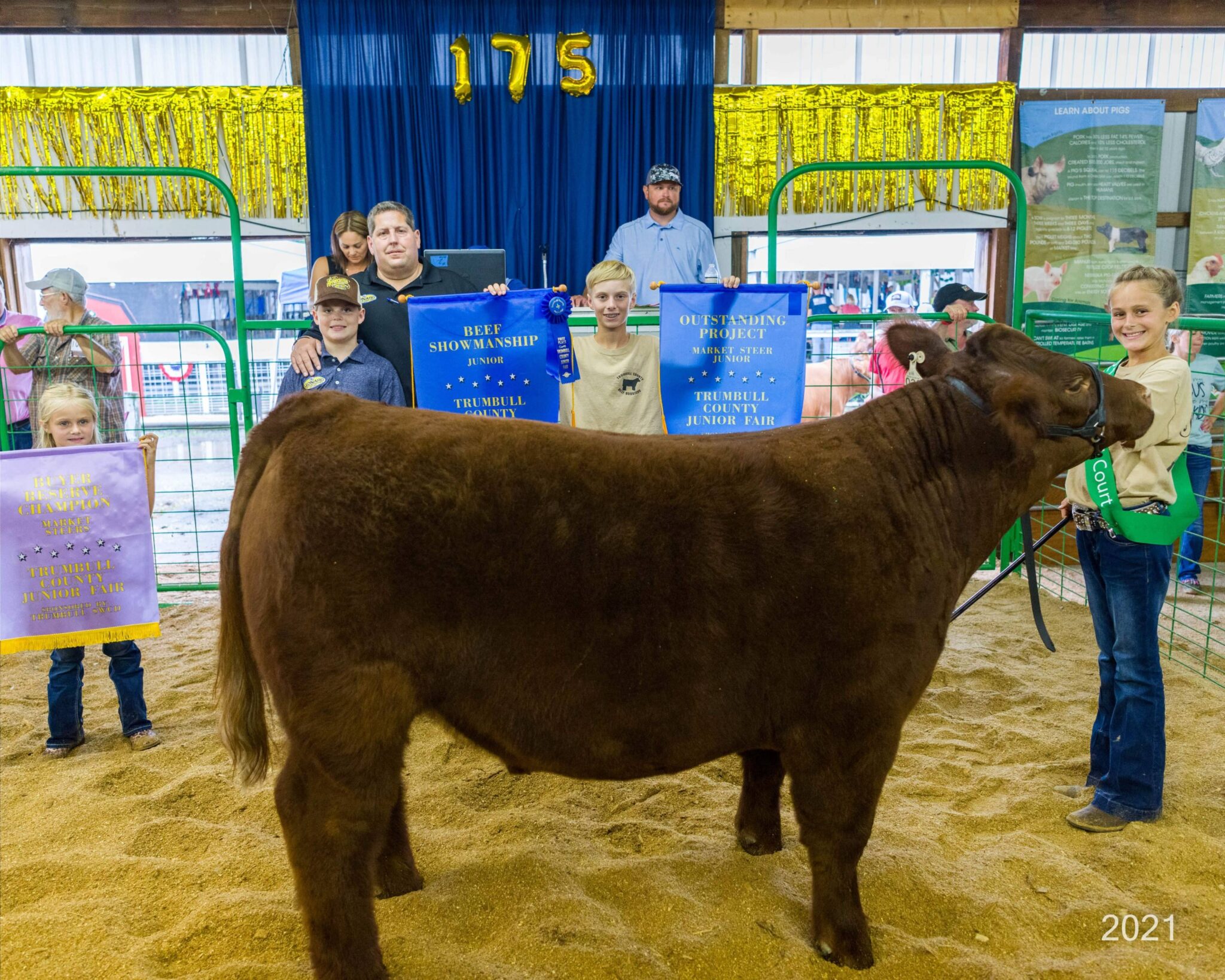 Gallery Trumbull County Fair