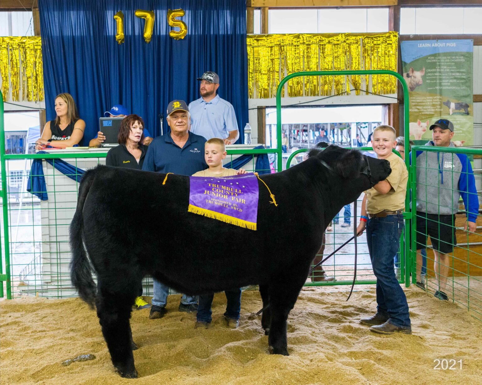 Gallery Trumbull County Fair