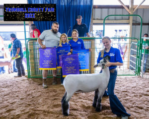 Avery Rice sold the grand champion lamb to Adaboy Services for $18.50 per pound.
