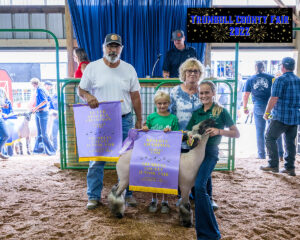 Anistyn Williams sold the reserve champion lamb to JB's Four Season Farms for $16 per pound.